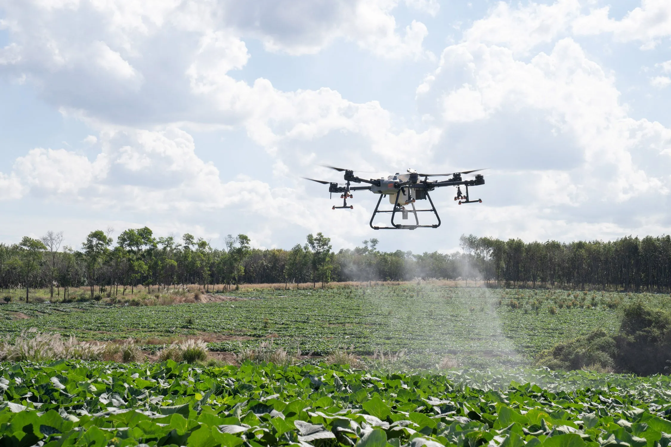 Agricultural Spraying Drone